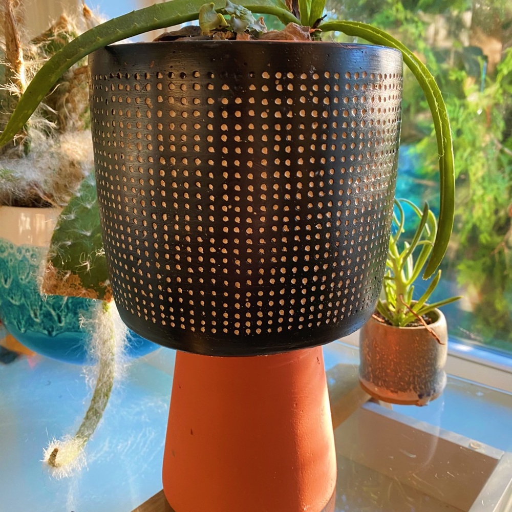 Handmade By Me Planter Terracota Dot 🔮 - Picture 7 of 16